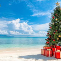 Christmas Beach