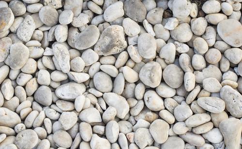 Beach Stones and Pebbles Photo Backdrop