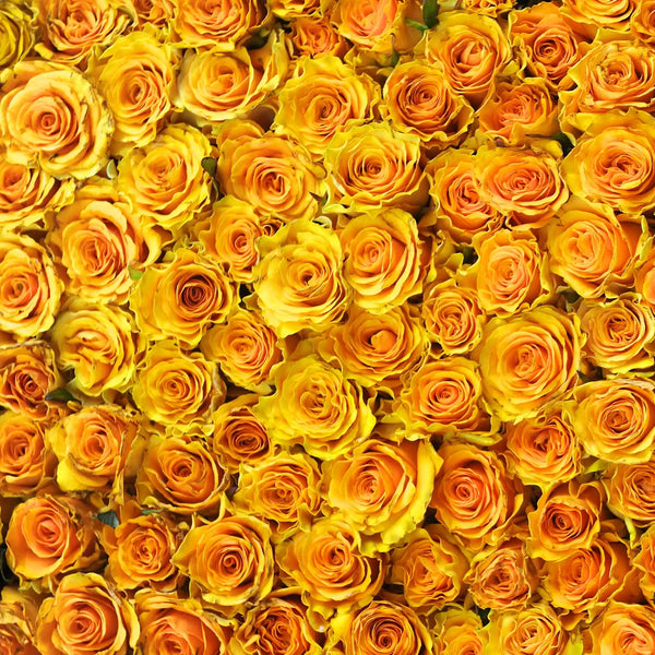 Dropz Photography Backdrop Yellow Roses Background
